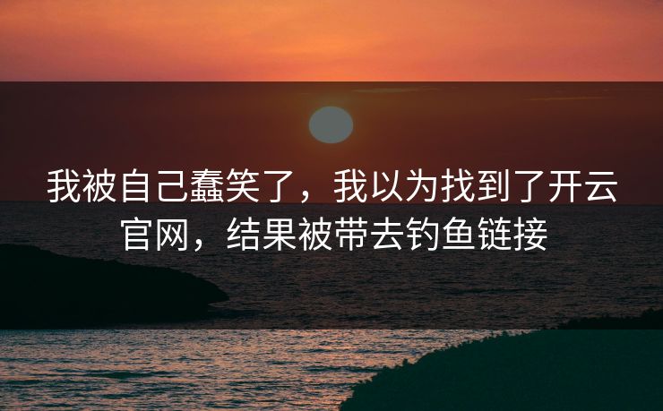 我被自己蠢笑了，我以为找到了开云官网，结果被带去钓鱼链接