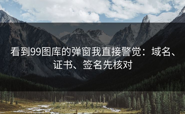 看到99图库的弹窗我直接警觉：域名、证书、签名先核对