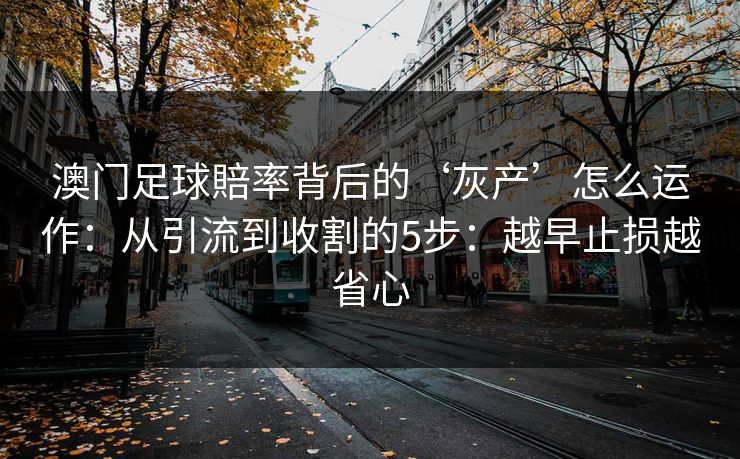 澳门足球賠率背后的‘灰产’怎么运作:从引流到收割的5步:越早止损越省心 澳门足球賠率背后的‘灰产’怎么运作:从引流到收割的5步:越早止损越省心